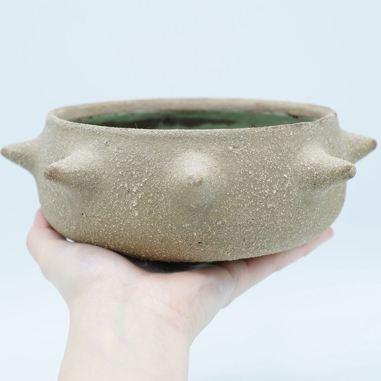 PURO Large Bowl in pea green